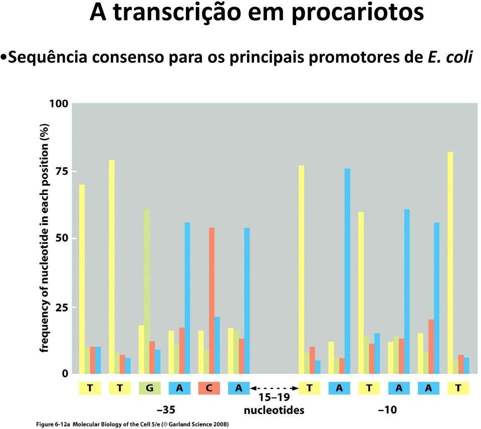 consenso para os