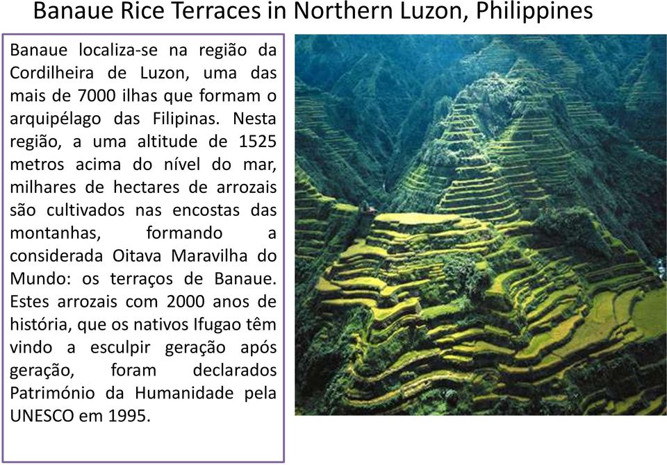 Nesta região, a uma altitude de 1525 metros acima do nível do mar, milhares de hectares de arrozais são cultivados nas encostas das