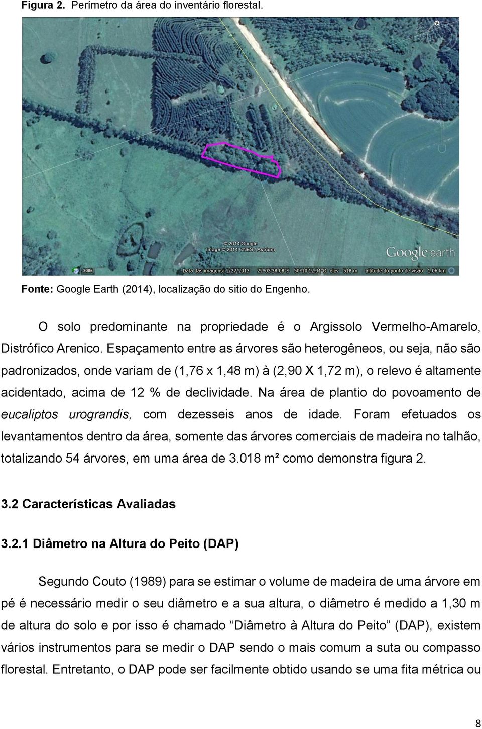 Na área de plantio do povoamento de eucaliptos urograndis, com dezesseis anos de idade.