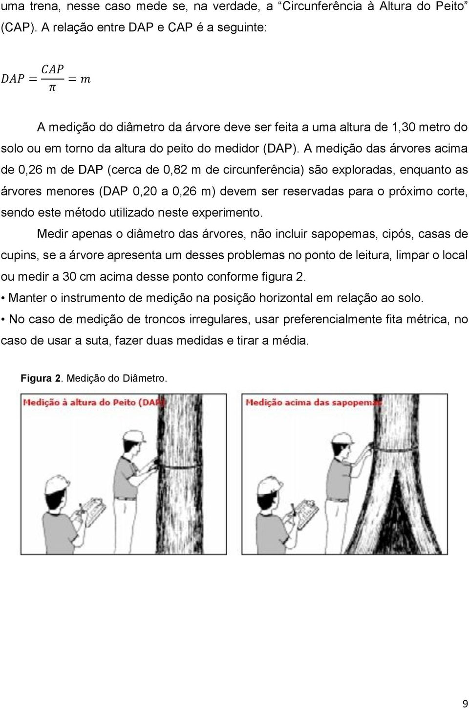 A medição das árvores acima de 0,26 m de DAP (cerca de 0,82 m de circunferência) são exploradas, enquanto as árvores menores (DAP 0,20 a 0,26 m) devem ser reservadas para o próximo corte, sendo este
