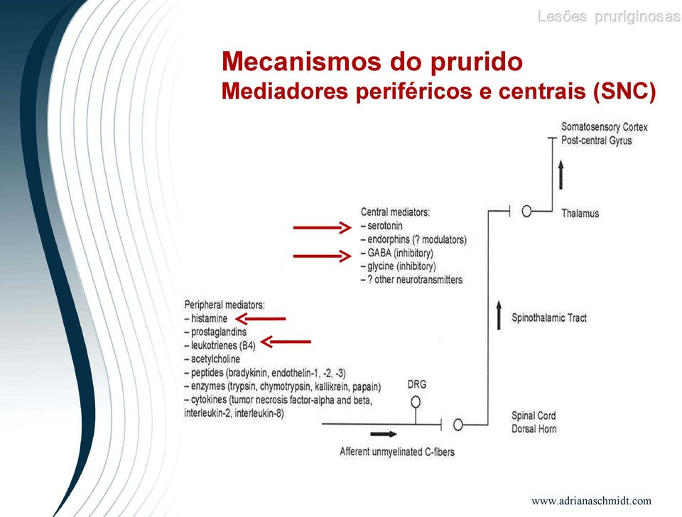 Mediadores