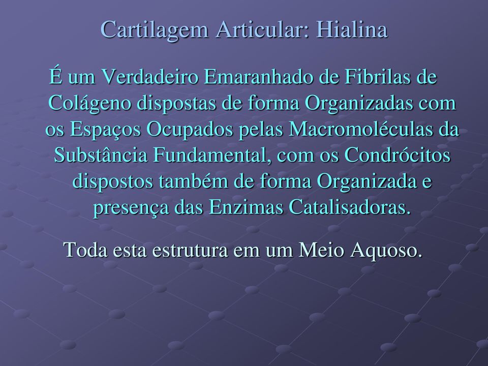 Macromoléculas da Substância Fundamental, com os Condrócitos dispostos também