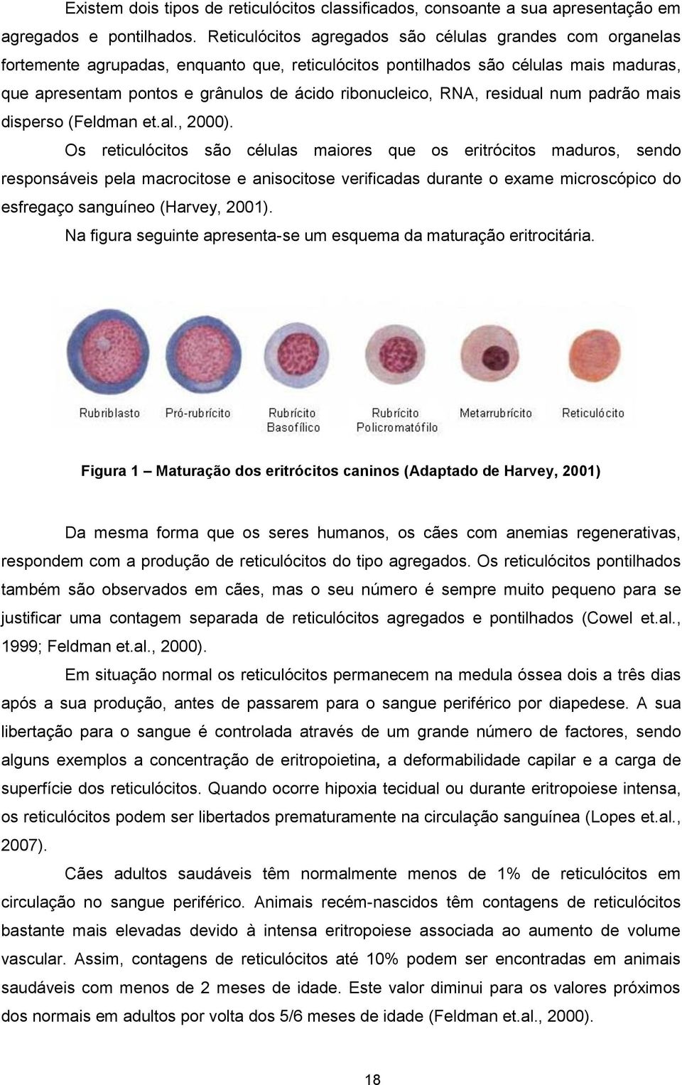 ribonucleico, RNA, residual num padrão mais disperso (Feldman et.al., 2000).