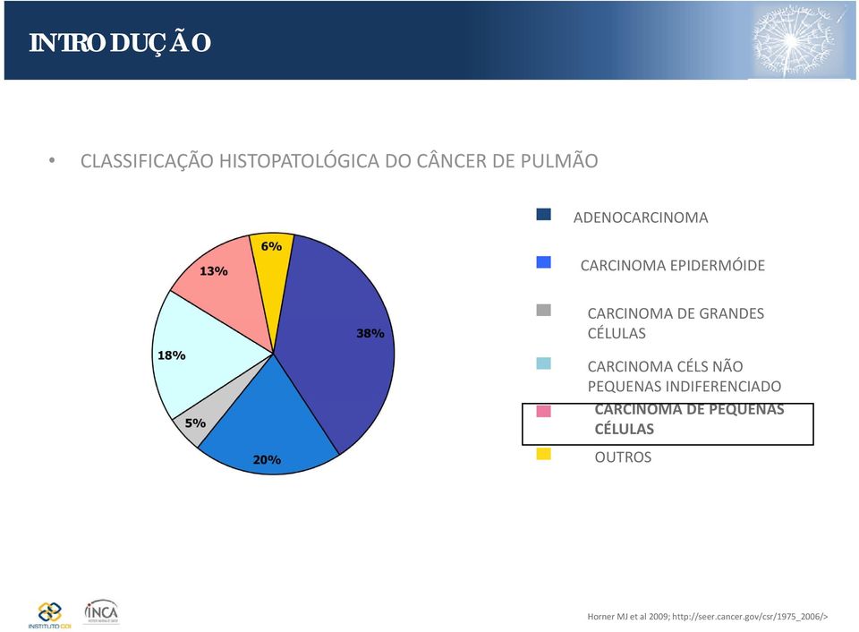 CARCINOMA CÉLS NÃO PEQUENAS INDIFERENCIADO CARCINOMA DE PEQUENAS