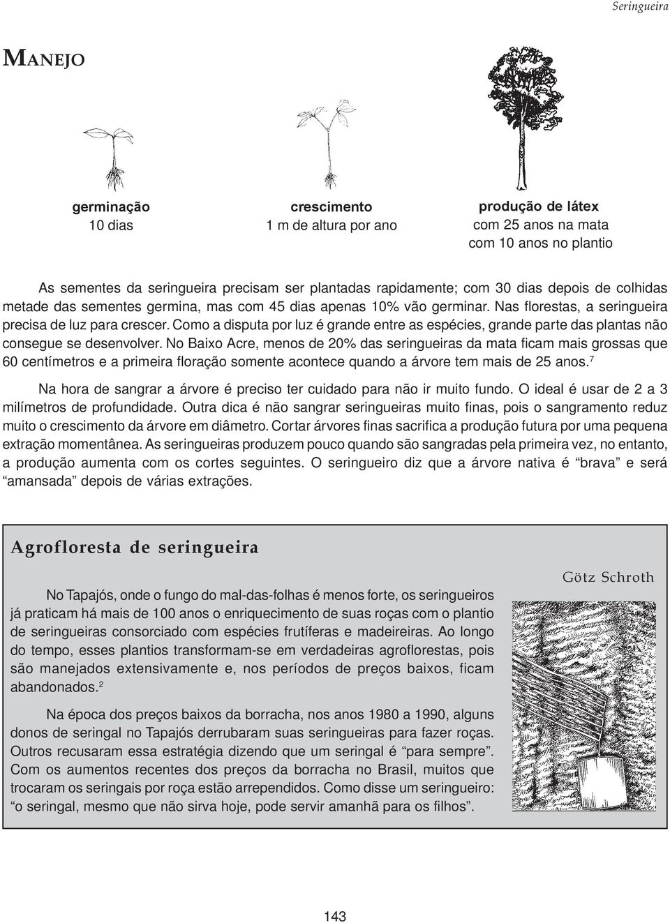 Como a disputa por luz é grande entre as espécies, grande parte das plantas não consegue se desenvolver.