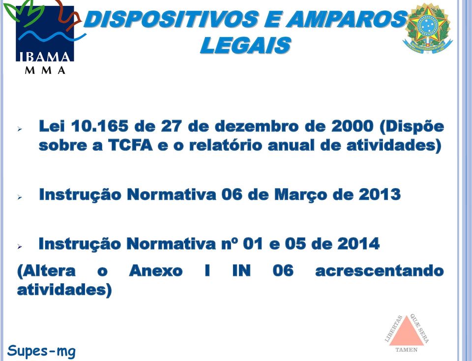 anual de atividades) Instrução Normativa 06 de Março de 2013