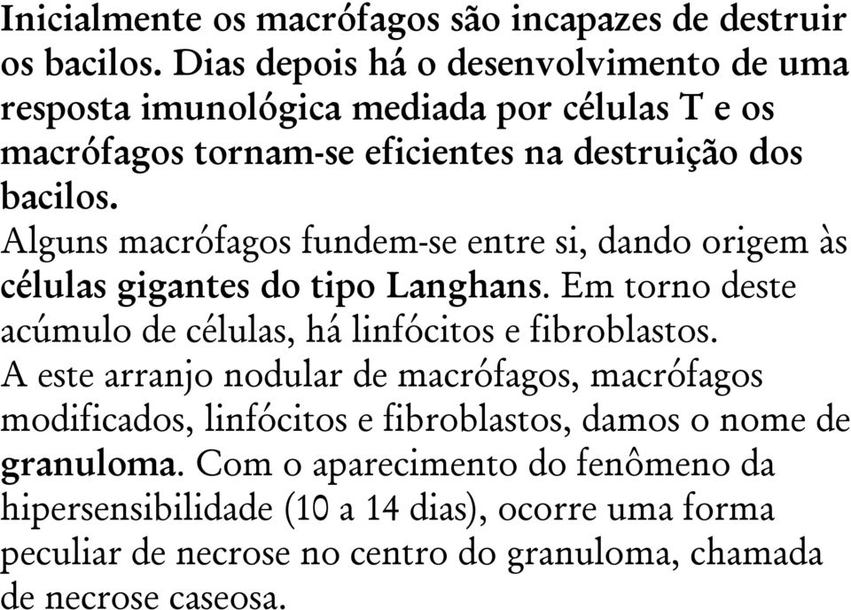 Alguns macrófagos fundem-se entre si, dando origem às células gigantes do tipo Langhans. Em torno deste acúmulo de células, há linfócitos e fibroblastos.