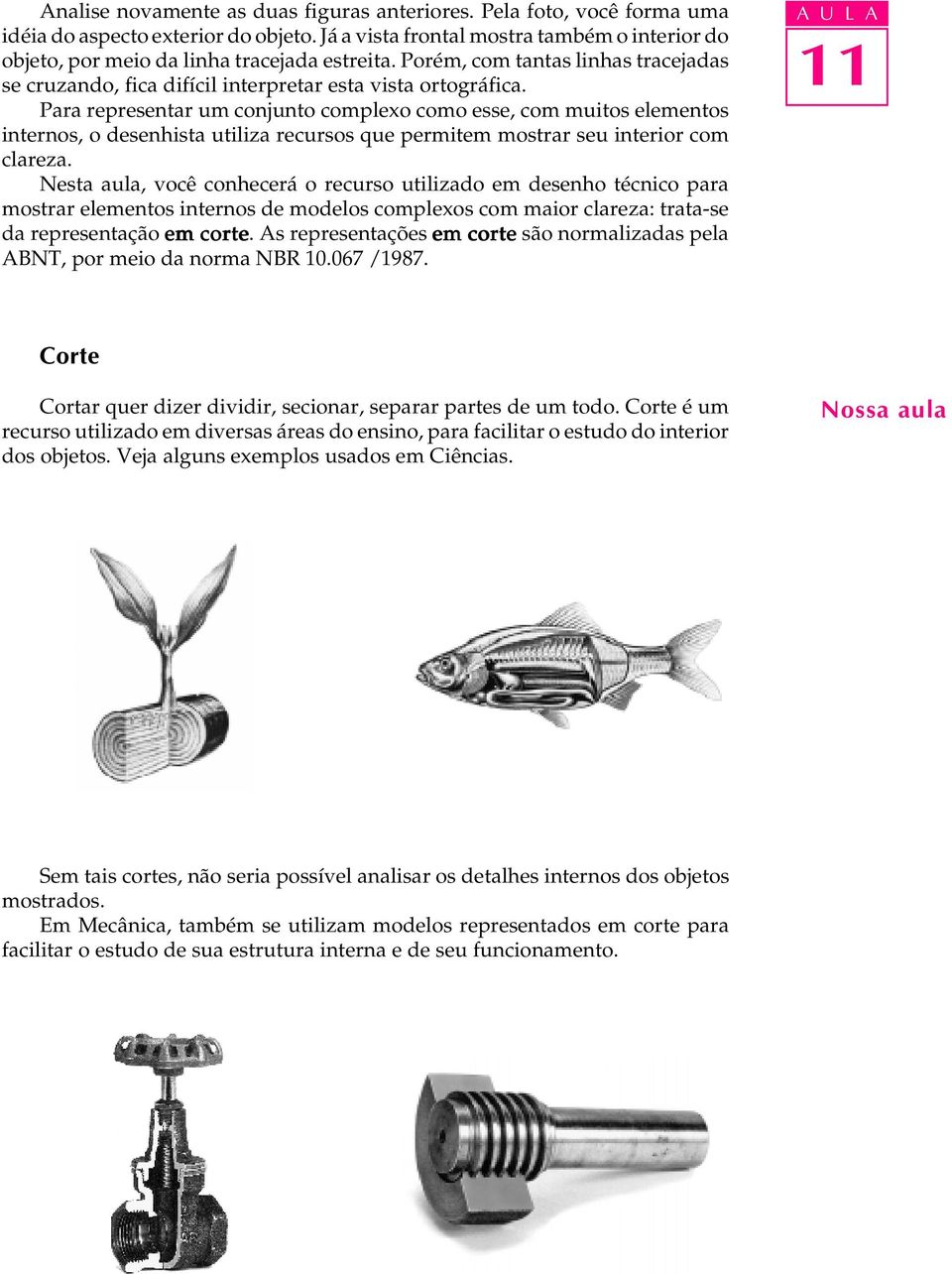 Para representar um conjunto complexo como esse, com muitos elementos internos, o desenhista utiliza recursos que permitem mostrar seu interior com clareza.