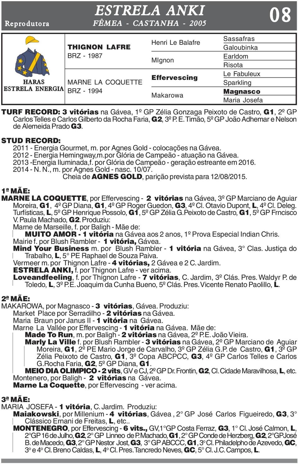 Timão, 5º GP João Adhemar e Nelson de Alemeida Prado G3. STUD RECORD: 2011 - Energia Gourmet, m. por Agnes Gold - colocações na Gávea. 2012 - Energia Hemingway,m.