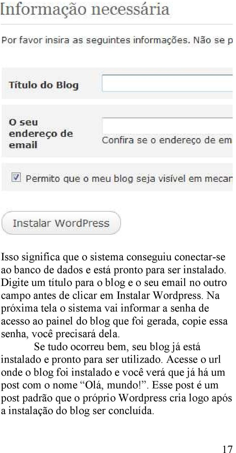 Na próxima tela o sistema vai informar a senha de acesso ao painel do blog que foi gerada, copie essa senha, você precisará dela.