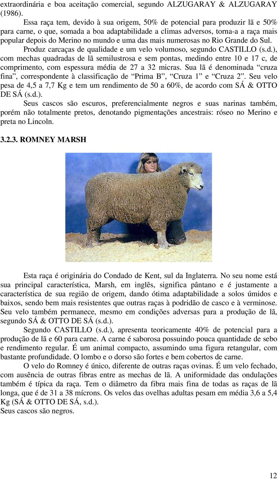 uma das mais numerosas no Rio Grande do Sul. Produz carcaças de qualidade e um velo volumoso, segundo CASTILLO (s.d.), com mechas quadradas de lã semilustrosa e sem pontas, medindo entre 10 e 17 c, de comprimento, com espessura média de 27 a 32 micras.