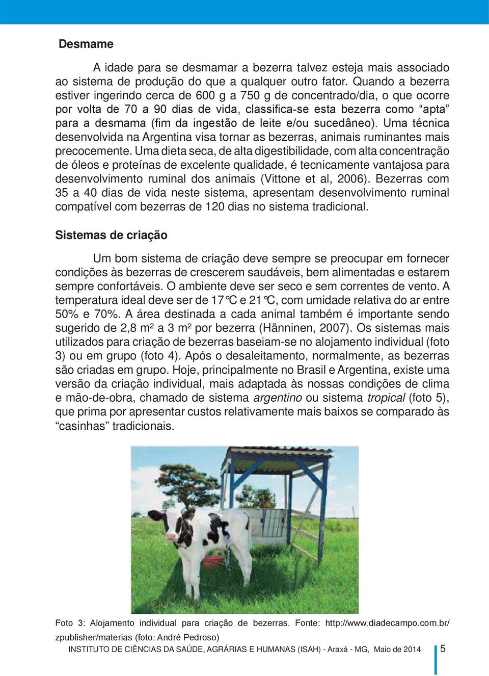 leite e/ou sucedâneo). Uma técnica desenvolvida na Argentina visa tornar as bezerras, animais ruminantes mais precocemente.