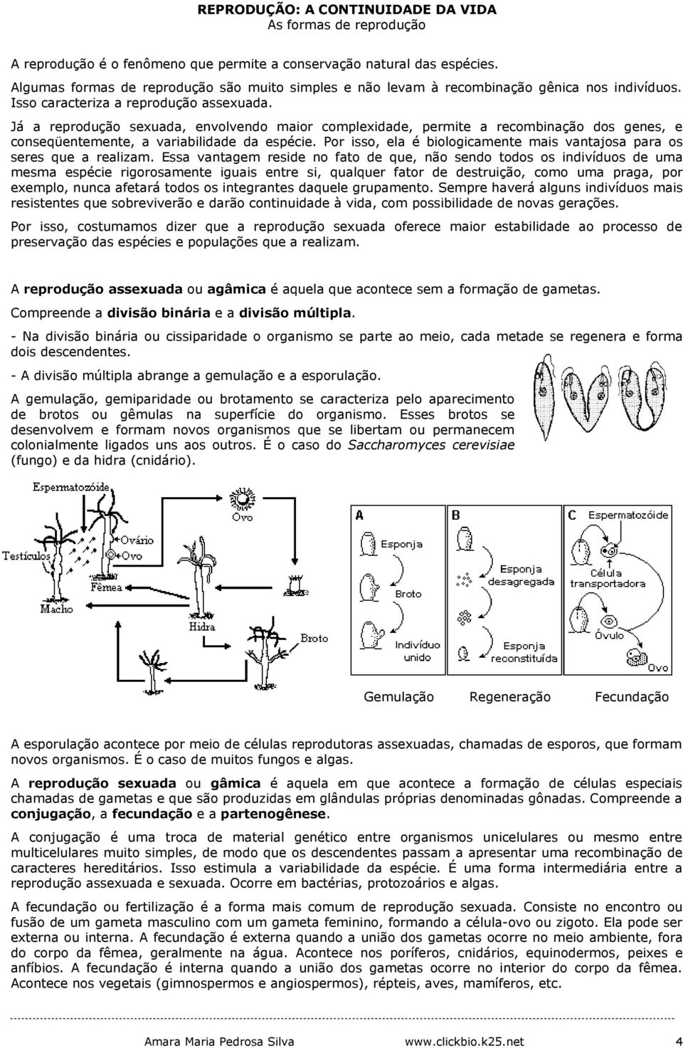 Já a reprodução sexuada, envolvendo maior complexidade, permite a recombinação dos genes, e conseqüentemente, a variabilidade da espécie.