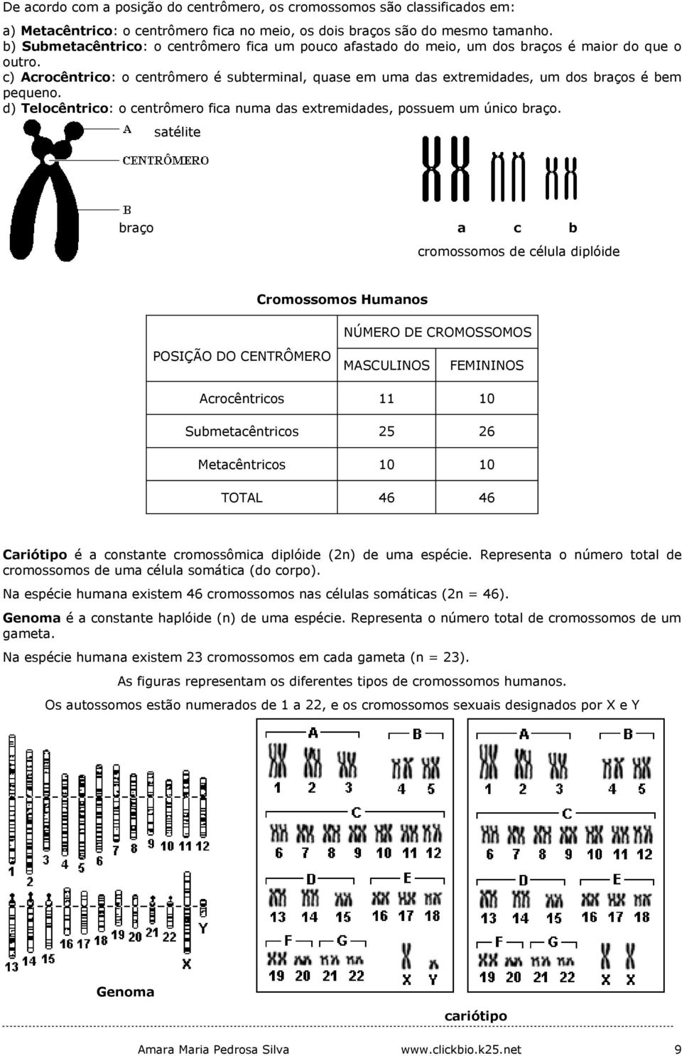 c) Acrocêntrico: o centrômero é subterminal, quase em uma das extremidades, um dos braços é bem pequeno. d) Telocêntrico: o centrômero fica numa das extremidades, possuem um único braço.