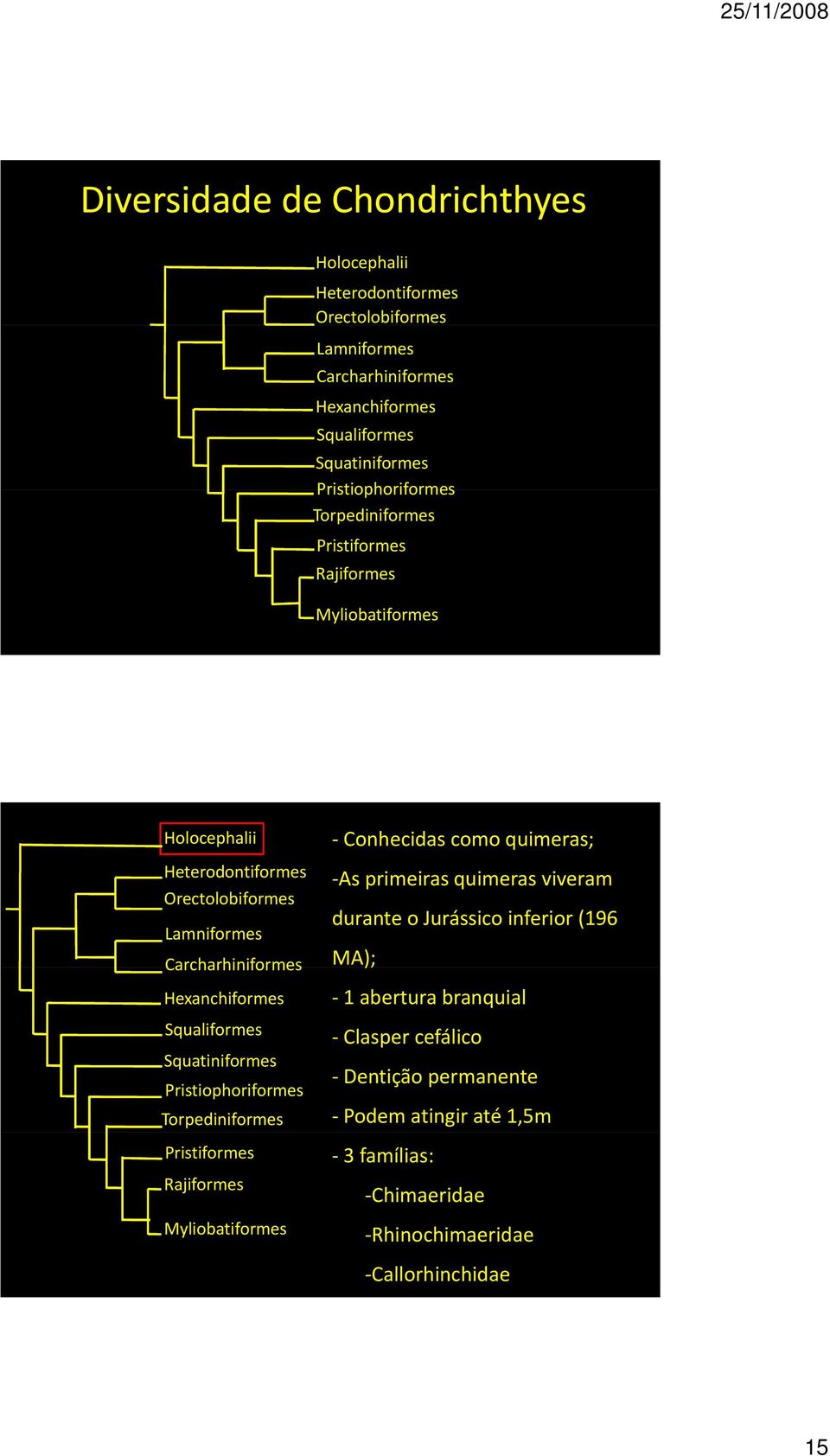 Hexanchiformes Squaliformes Squatiniformes Pristiophoriformes Torpediniformes Pristiformes Rajiformes Myliobatiformes Conhecidas como quimeras; As primeiras