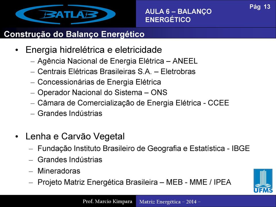 Câmara de Comercialização de Energia Elétrica - CCEE Grandes Indústrias 13 Lenha e Carvão Vegetal Fundação Instituto