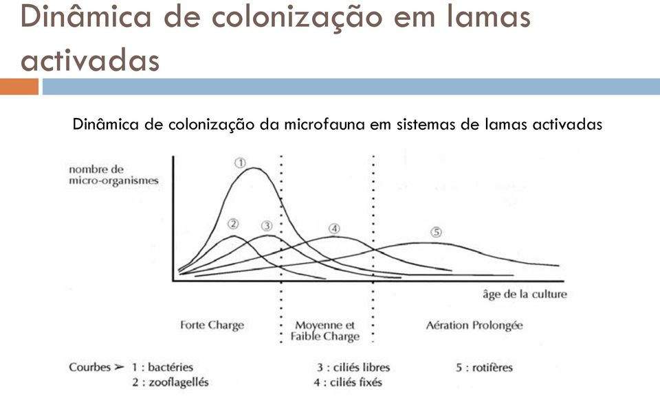 colonização da microfauna