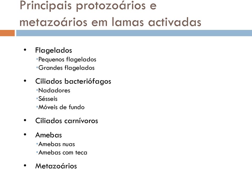 Ciliados bacteriófagos Nadadores Sésseis Móveis de fundo