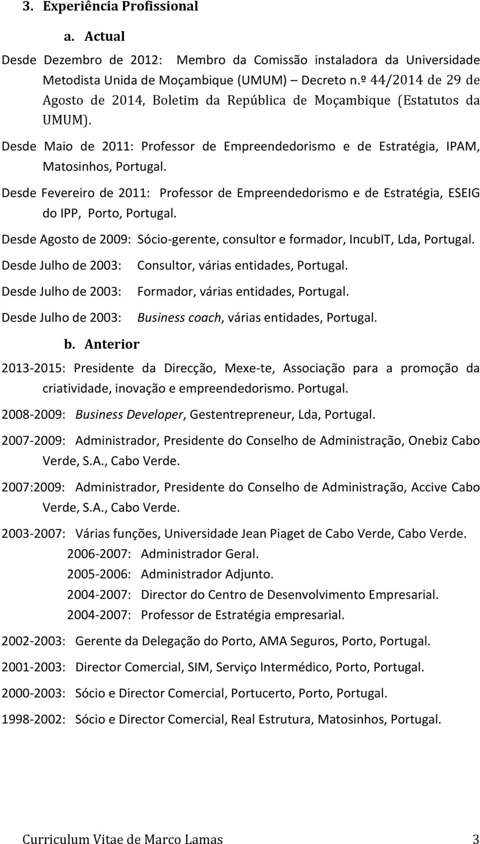 Desde Fevereiro de 2011: Professor de Empreendedorismo e de Estratégia, ESEIG do IPP, Porto, Portugal. Desde Agosto de 2009: Sócio- gerente, consultor e formador, IncubIT, Lda, Portugal.