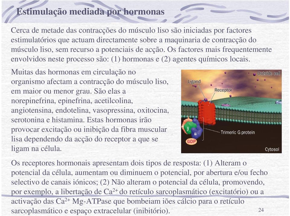 Muitas das hormonas em circulação no organismo afectam a contracção do músculo liso, em maior ou menor grau.