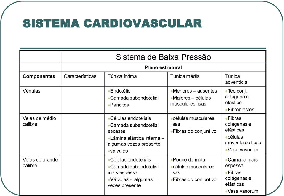 colágeno e elástico Fibroblastos Veias de médio calibre Células endoteliais Camada subendotelial escassa Lâmina elástica interna algumas vezes presente válvulas células musculares lisas