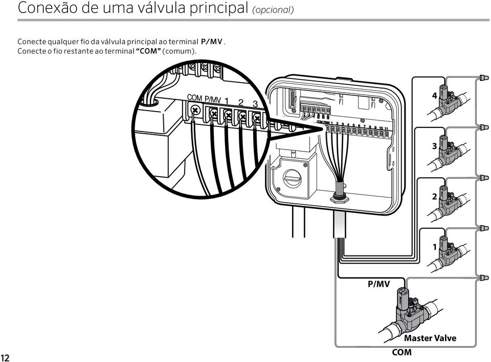 terminal P/MV.