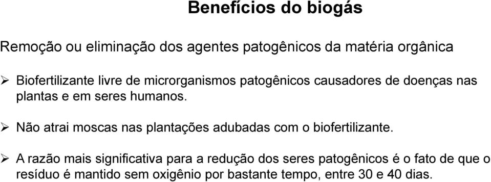 Não atrai moscas nas plantações adubadas com o biofertilizante.