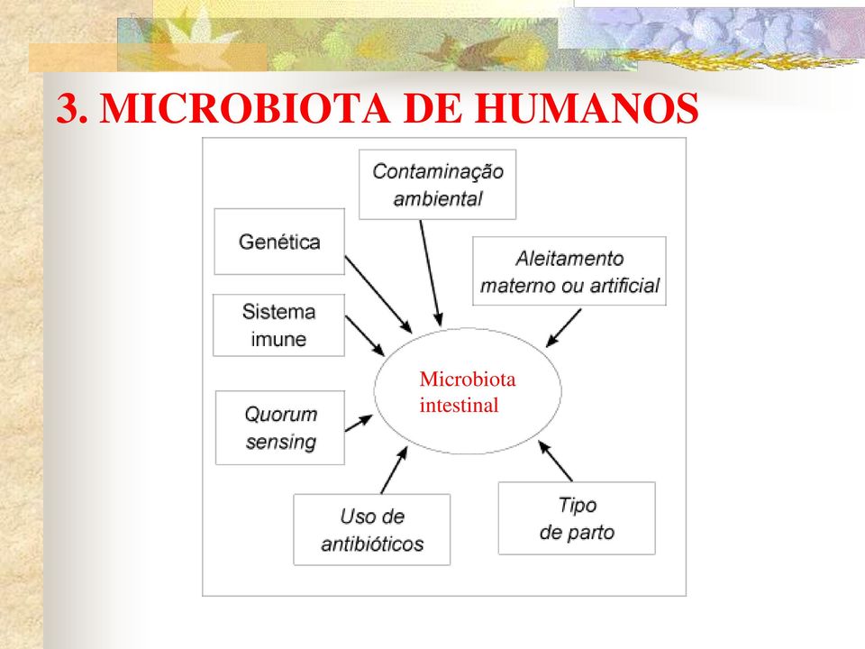 DE HUMANOS