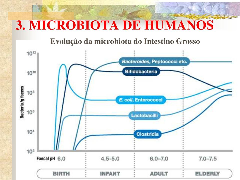 da microbiota do