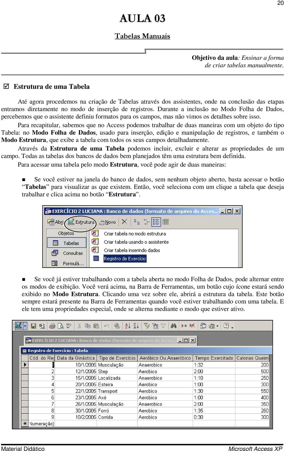 Durante a inclusão no Modo Folha de Dados, percebemos que o assistente definiu formatos para os campos, mas não vimos os detalhes sobre isso.