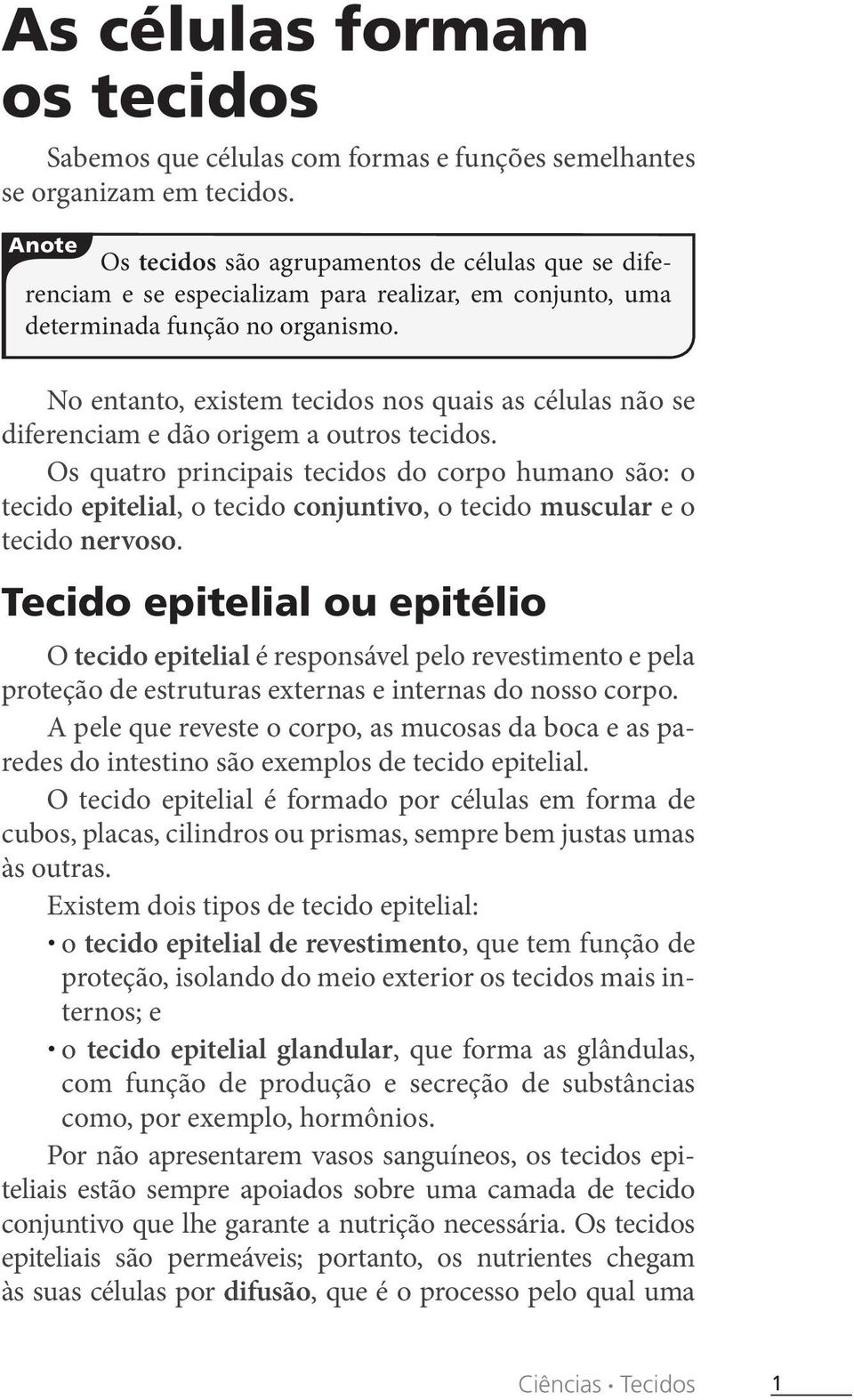 No entanto, existem tecidos nos quais as células não se diferenciam e dão origem a outros tecidos.