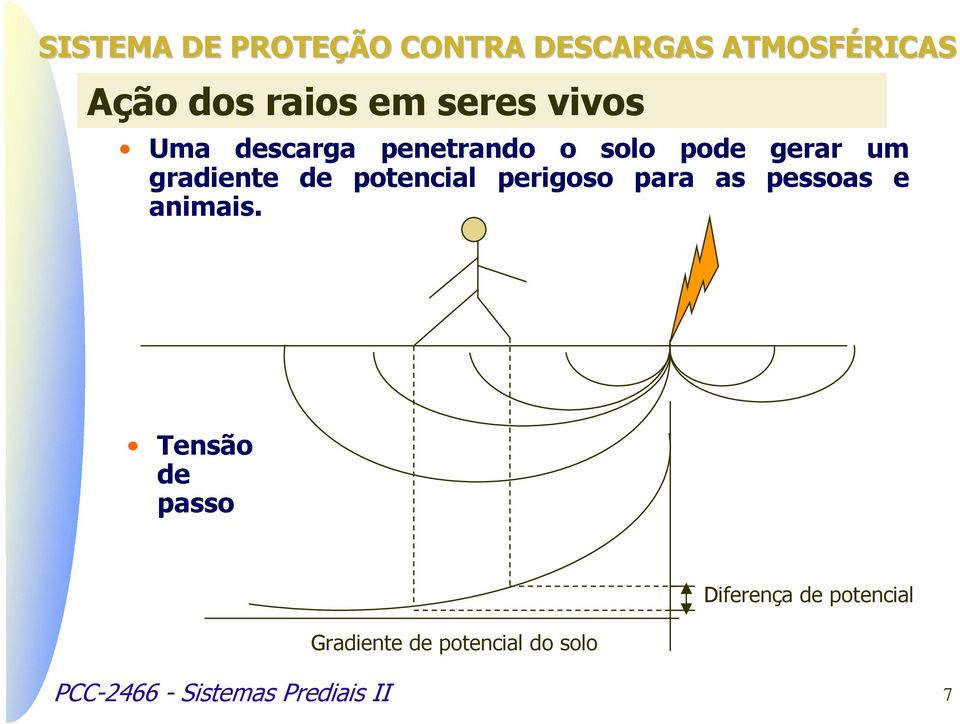 pessoas e animais.