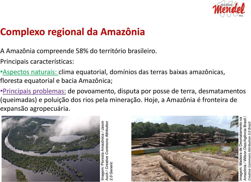 0 Brazil Geografia, 1º Ano do Ensino Médio Complexo regional da Amazônia A Amazônia compreende 58% do território brasileiro.