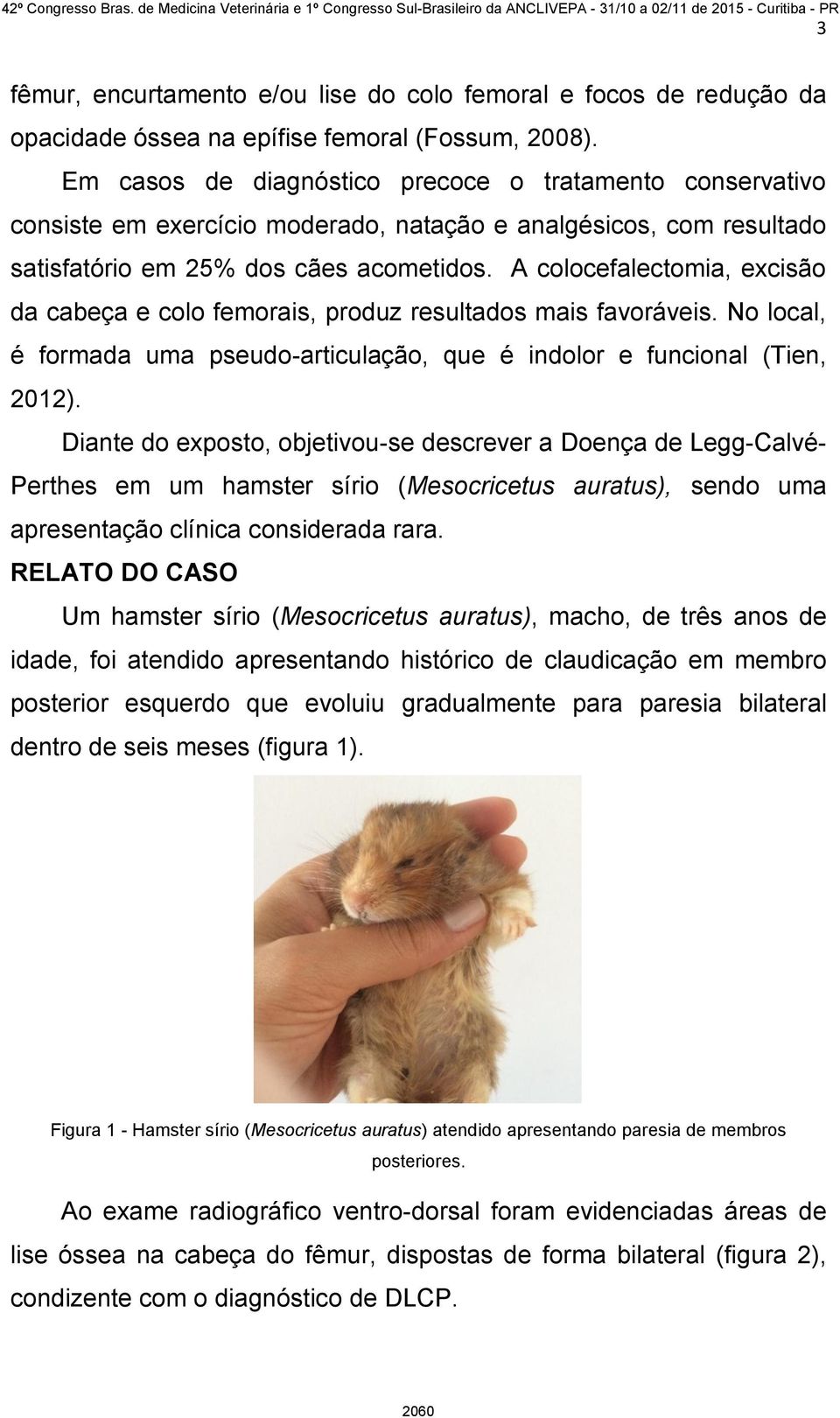 A colocefalectomia, excisão da cabeça e colo femorais, produz resultados mais favoráveis. No local, é formada uma pseudo-articulação, que é indolor e funcional (Tien, 2012).