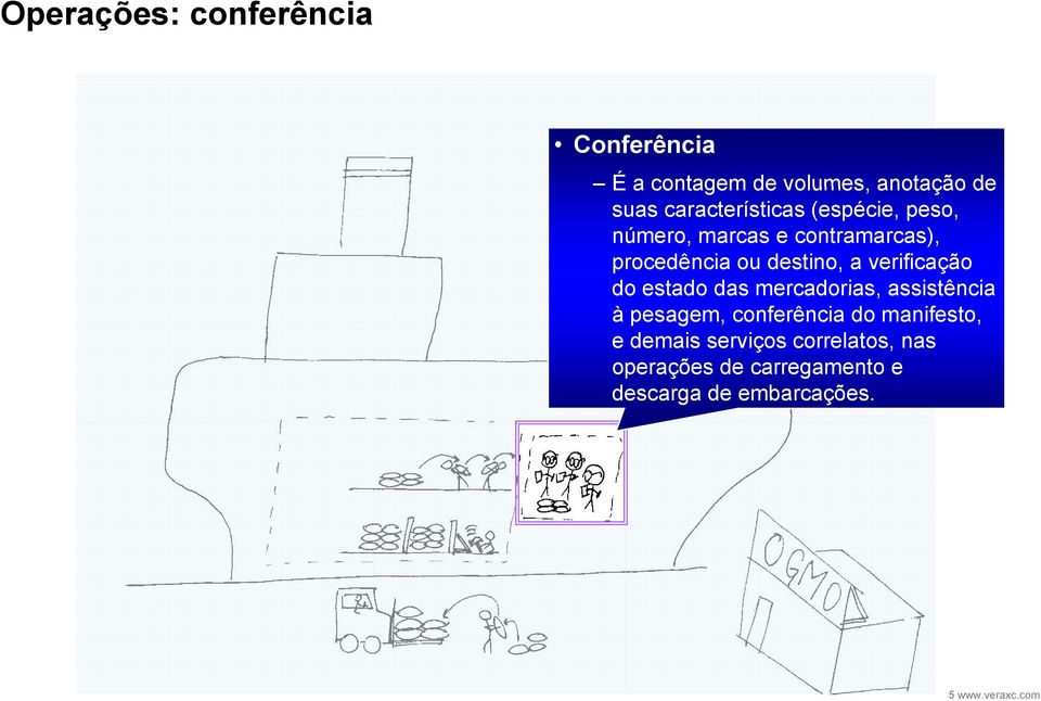 verificação do estado das mercadorias, assistência à pesagem, conferência do manifesto, e