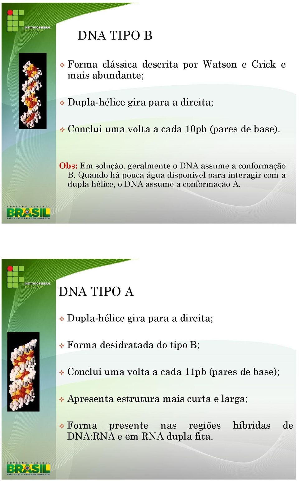 Quando há pouca água disponível para interagir com a dupla hélice, o DNA assume a conformação A.