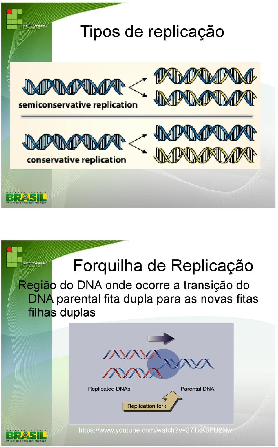 ocorre a transição do DNA parental fita dupla