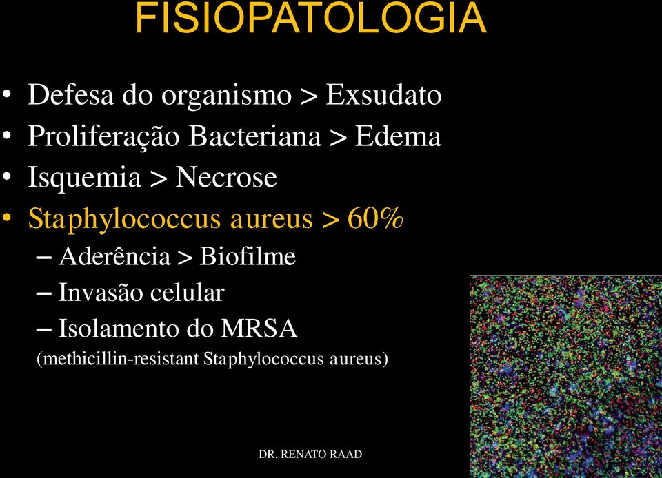 Staphylococcus aureus > 60% Aderência > Biofilme Invasão