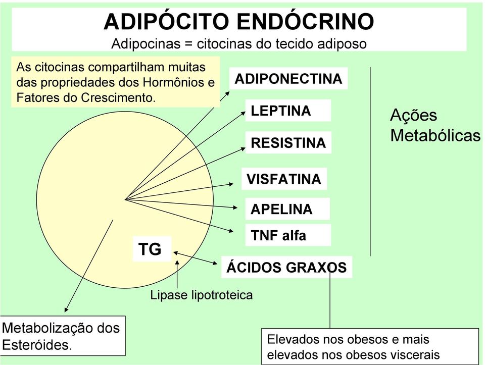 ADIPONECTINA LEPTINA RESISTINA Ações Metabólicas VISFATINA APELINA TG TNF alfa ÁCIDOS