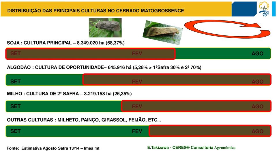 916 há (5,28% > 1ªSafra 30% e 2ª 70%) SET MILHO : CULTURA DE 2ª SAFRA 3.219.