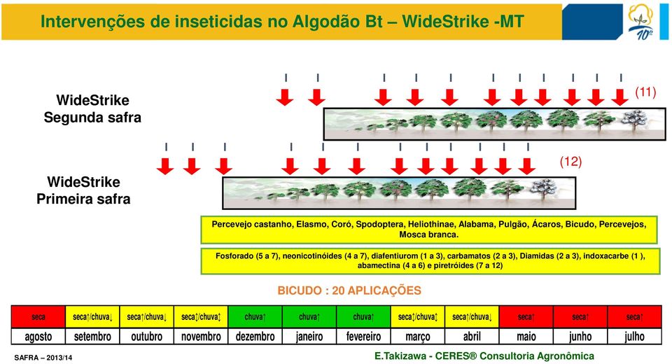 Fosforado (5 a 7), neonicotinóides (4 a 7), diafentiurom (1 a 3), carbamatos (2 a 3), Diamidas (2 a 3), indoxacarbe (1 ), abamectina (4 a 6) e piretróides (7 a 12) seca seca