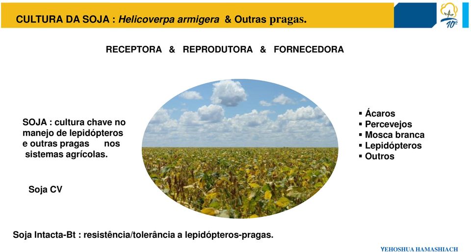lepidópteros e outras pragas nos sistemas agrícolas.