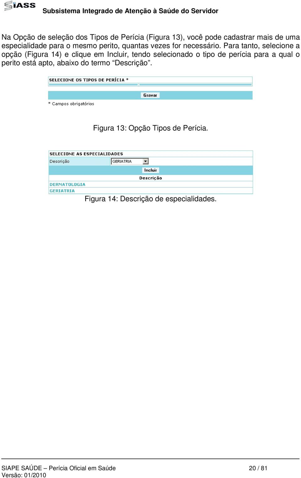 Para tanto, selecione a opção (Figura 14) e clique em Incluir, tendo selecionado o tipo de perícia para a