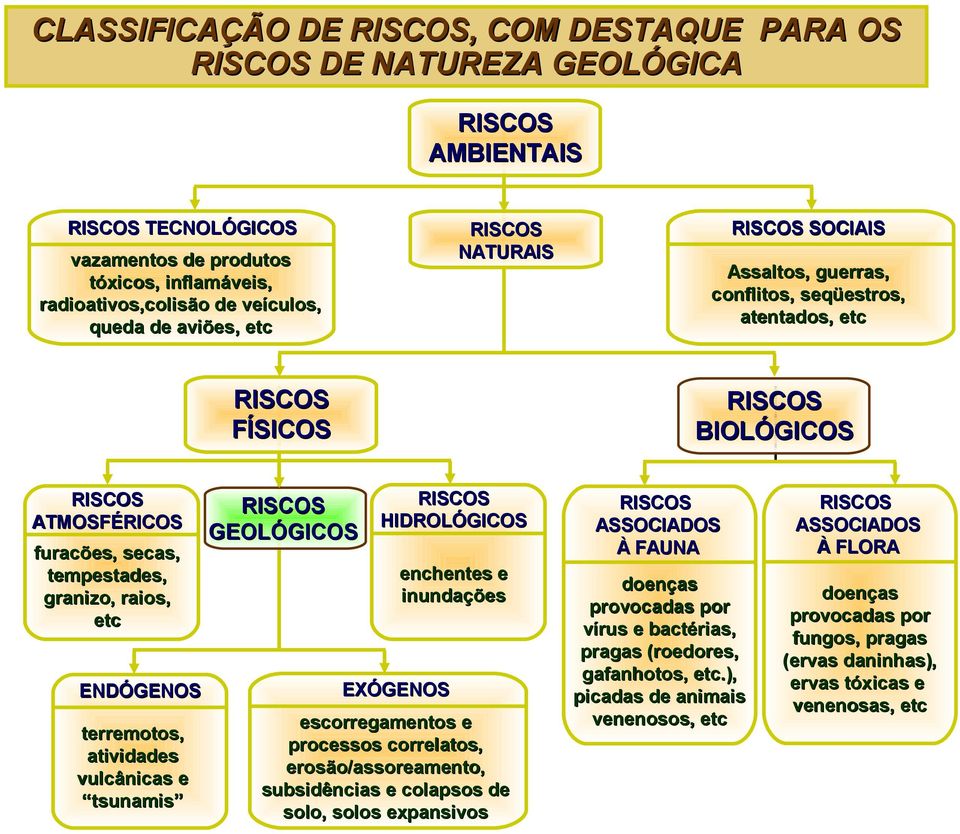 guerras, conflitos, seqüestros, atentados, etc RISCOS BIOLÓGICOS RISCOS RISCOS HIDROLÓGICOS GEOLÓGICOS enchentes e inundações EXÓGENOS escorregamentos e processos correlatos, erosão/assoreamento,