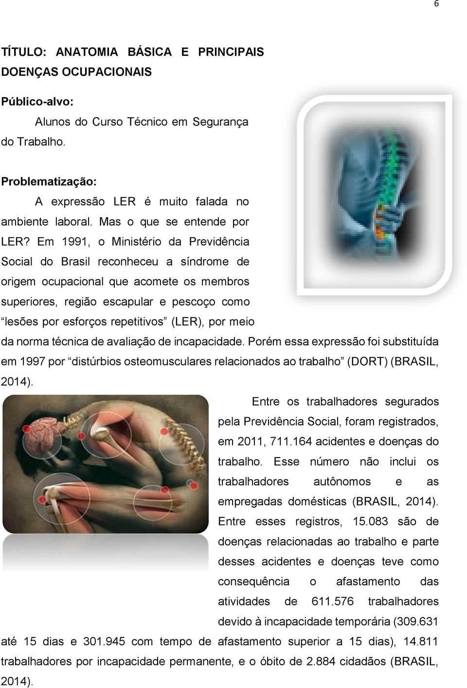 Em 1991, o Ministério da Previdência Social do Brasil reconheceu a síndrome de origem ocupacional que acomete os membros superiores, região escapular e pescoço como lesões por esforços repetitivos