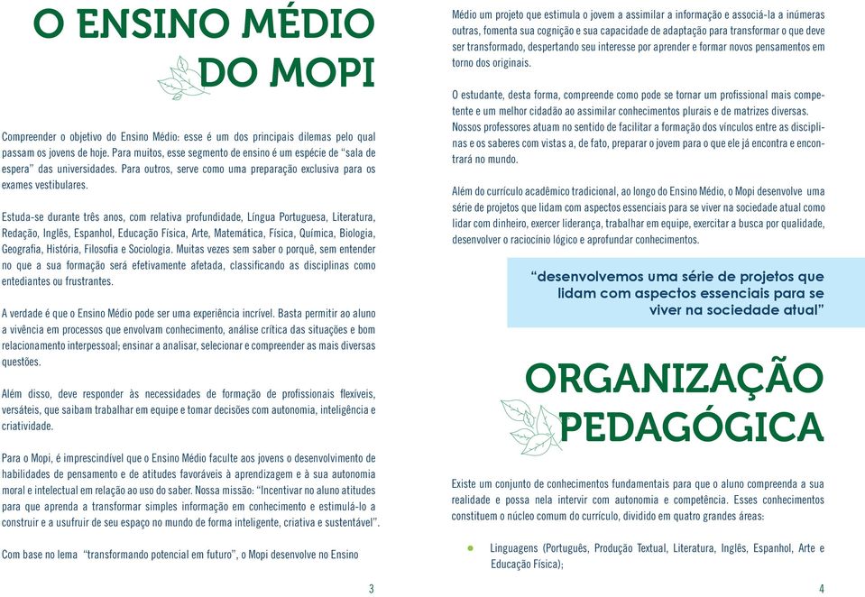 Estuda-se durante três anos, com relativa profundidade, Língua Portuguesa, Literatura, Redação, Inglês, Espanhol, Educação Física, Arte, Matemática, Física, Química, Biologia, Geografia, História,