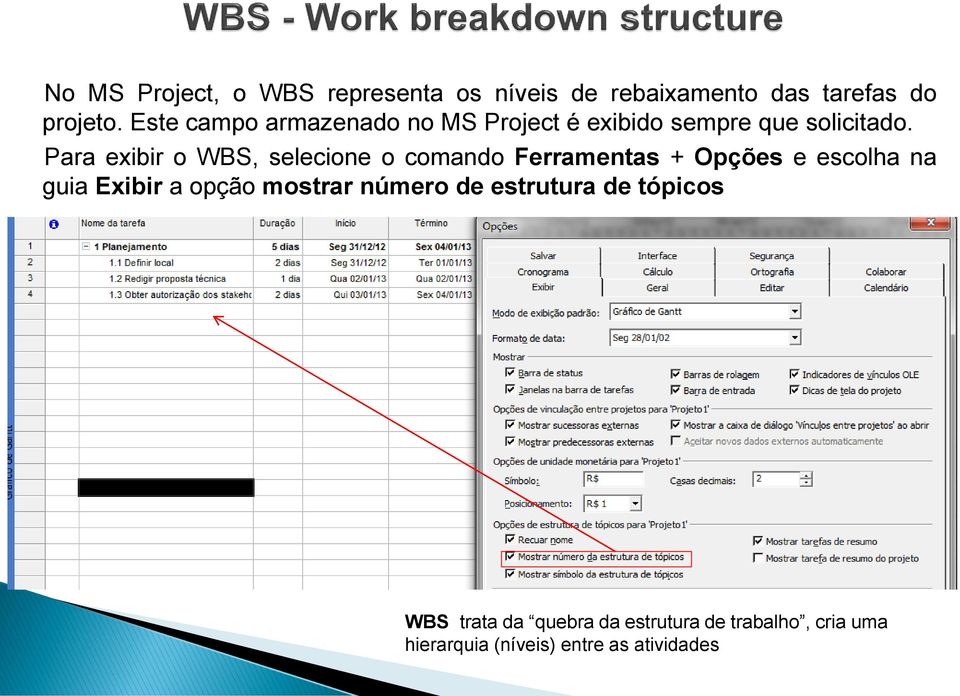 Para exibir o WBS, selecione o comando Ferramentas + Opções e escolha na guia Exibir a opção