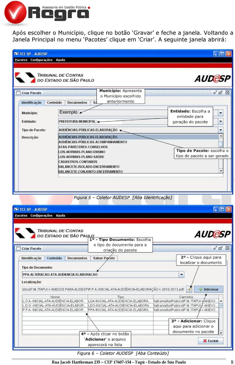 A seguinte janela abrirá: Figura 5 Coletor AUDESP [Aba Identificação] Figura