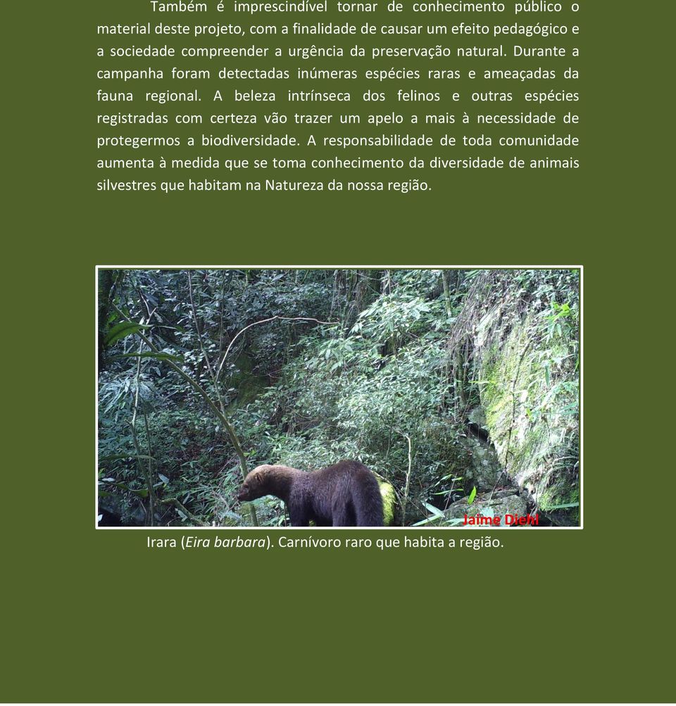 A beleza intrínseca dos felinos e outras espécies registradas com certeza vão trazer um apelo a mais à necessidade de protegermos a biodiversidade.