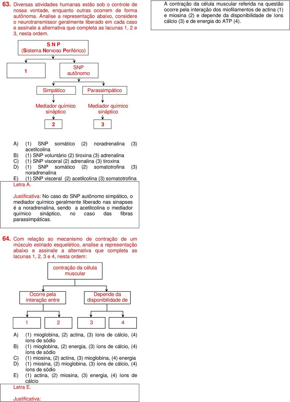 A contração da célula muscular referida na questão ocorre pela interação dos miofilamentos de actina (1) e miosina () e depende da disponibilidade de íons cálcio () e de energia do ATP ().